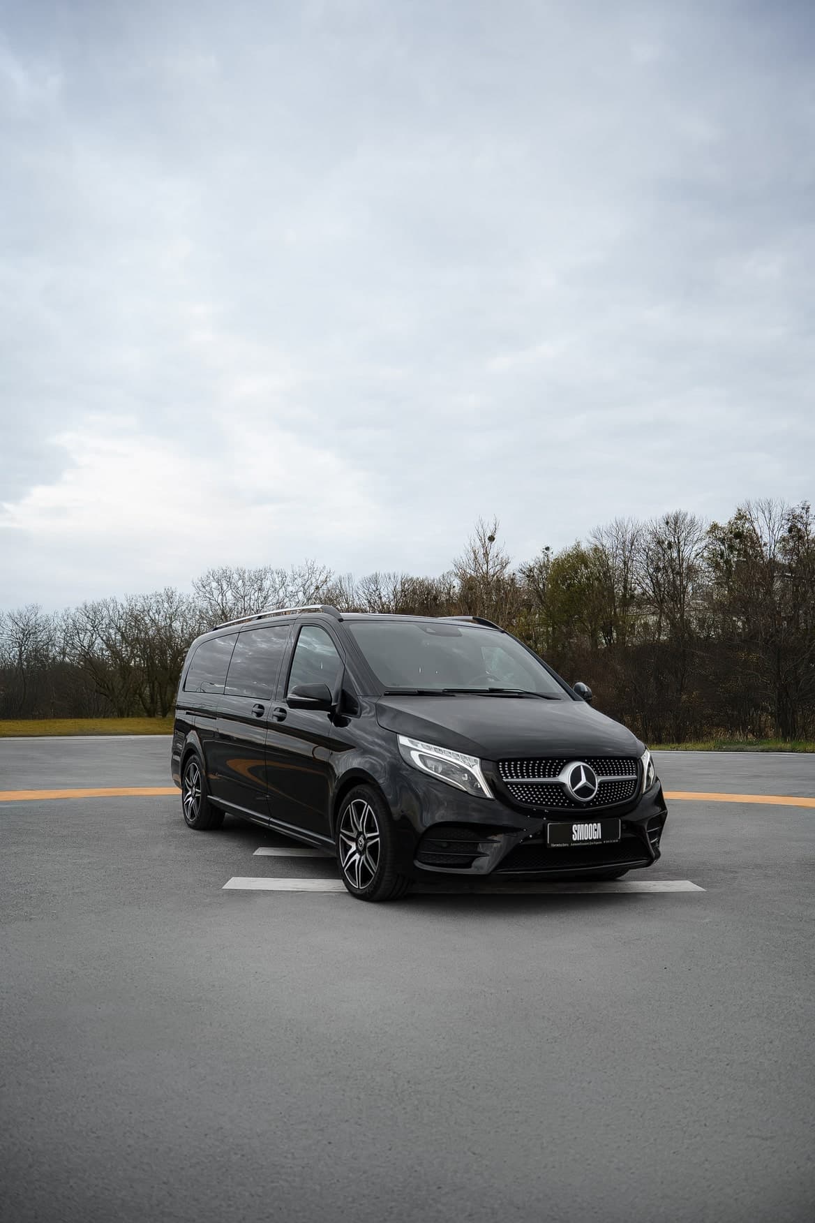 Mercedes-Benz V300 VIP
